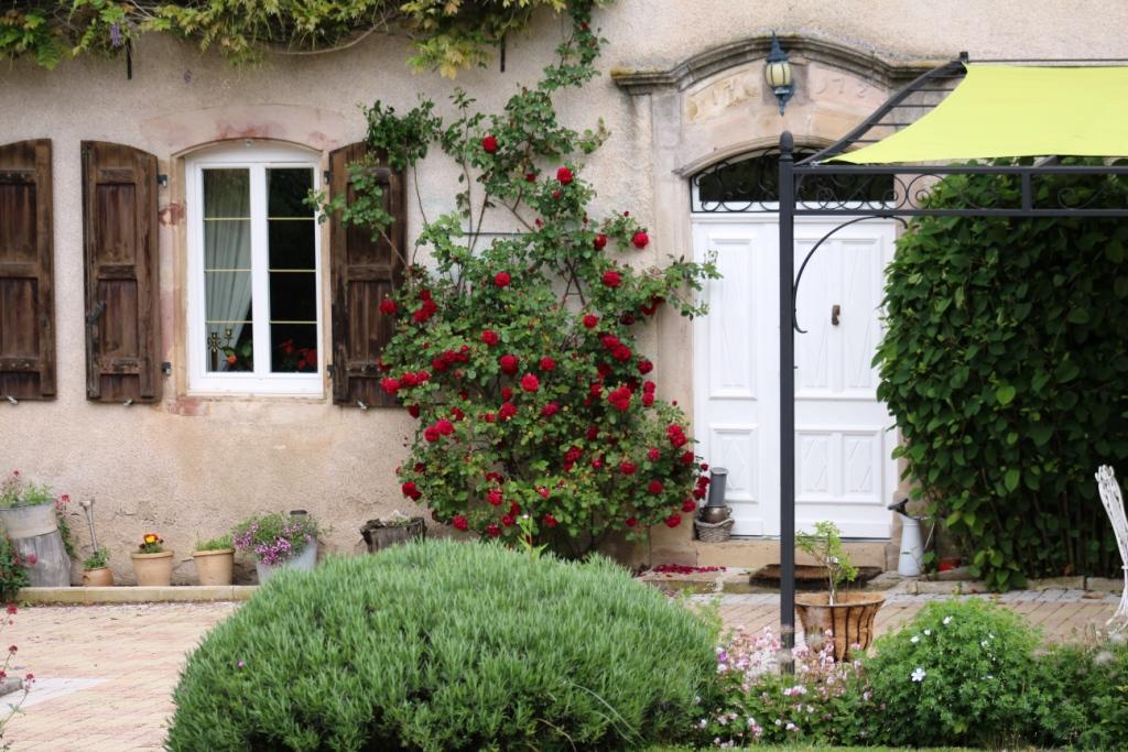 Le Clos D'Albray - Chambres D'Hotes Et Gite Comps-la-Grand-Ville Exterior photo